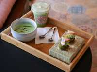 SAFARI Matcha Bar Khaoyai 