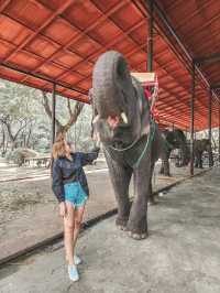 The Ancient City – A Mini Thailand Adventure in One Place! 🚗🌞