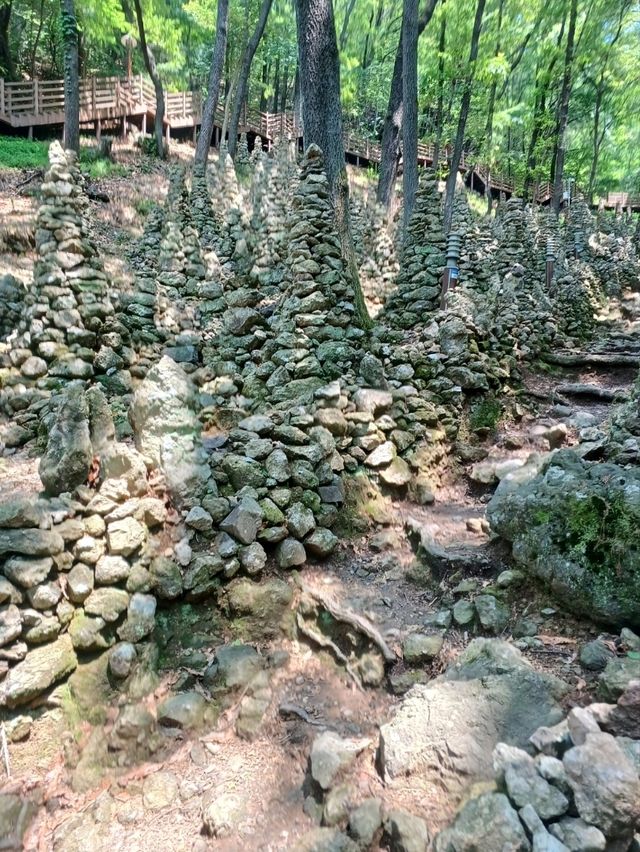 친구와 떠나는 가벼운 힐링 산책