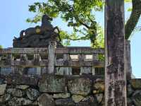 犬山城下的古城守護神〔針綱神社〕⛩️