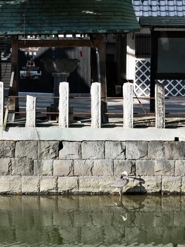 【水の都で癒しのひととき🌿】【水の都で癒しのひととき🌿】柳川の川下りで心ほどける旅の川下りで心ほどける旅