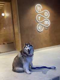 🌿 Horme Café – คาเฟ่โทนอุ่น ที่น่าไป 💗🌷