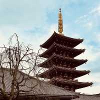 SensojiSummer: Tokyo’s Coolest Temple Adventure Awaits! ⛩️✨