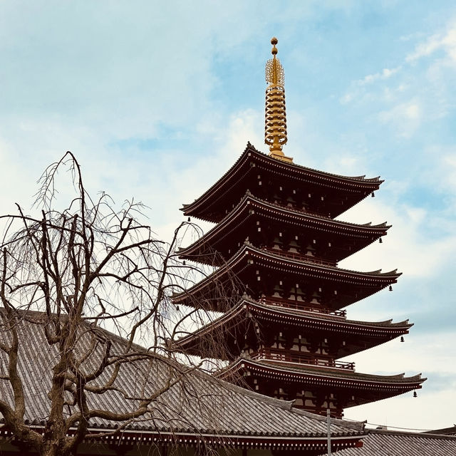 SensojiSummer: Tokyo’s Coolest Temple Adventure Awaits! ⛩️✨