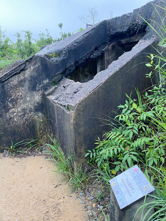 香港｜麥徑六段：馬騮山🐒——城門水塘