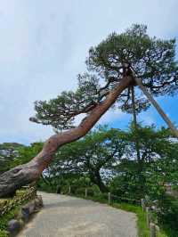 必訪日式庭園〔兼六園〕，四季皆美的百景之首
