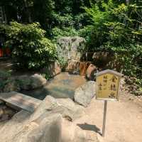 神戶 | 生田神社，祈求戀愛結緣的神社