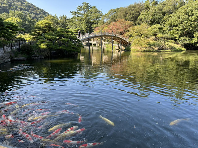 四國香川-栗林公園