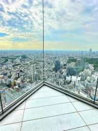 Shibuya Sky: Tokyo from Daylight to Dazzling Night 