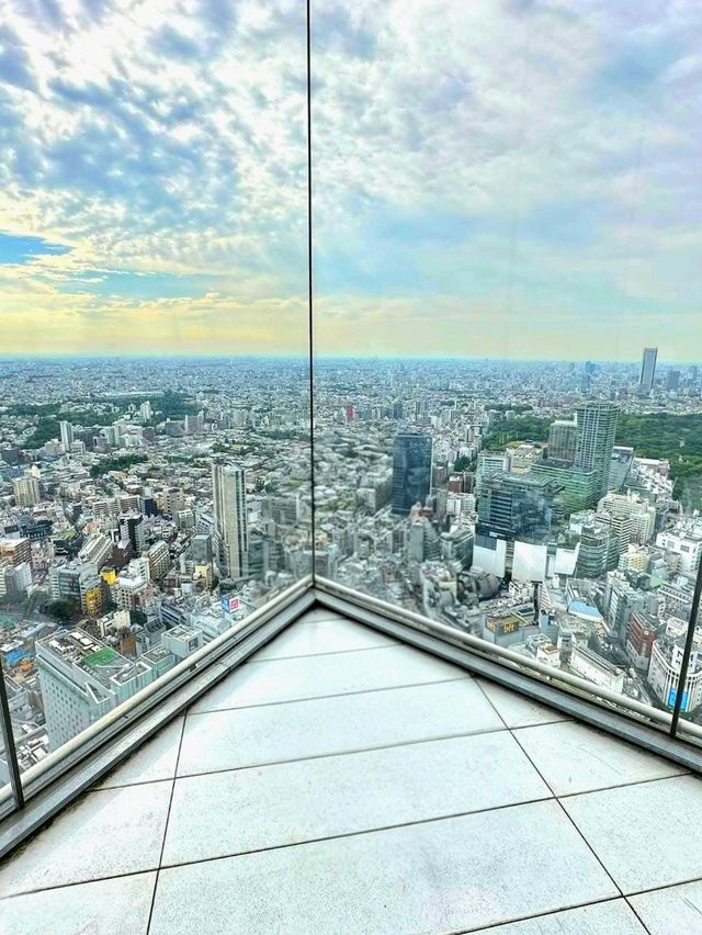 Shibuya Sky: Tokyo from Daylight to Dazzling Night 