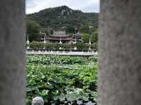 Nanputuo Temple’s Water Lily Garden: Where Buddha Meets Blooms (And Your Soul Finds Zen)"** 🌸🏯  