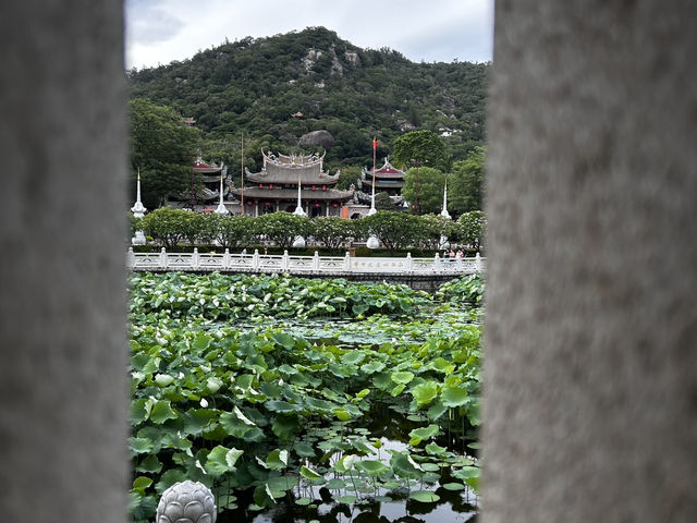 Nanputuo Temple’s Water Lily Garden: Where Buddha Meets Blooms (And Your Soul Finds Zen)"** 🌸🏯  