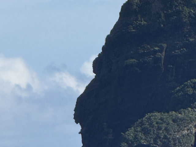 耍廢人生