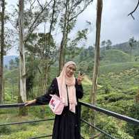 unique experience in a tea plantation & less crowd too!