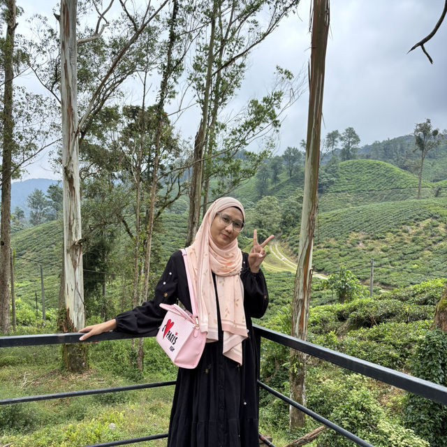 unique experience in a tea plantation & less crowd too!