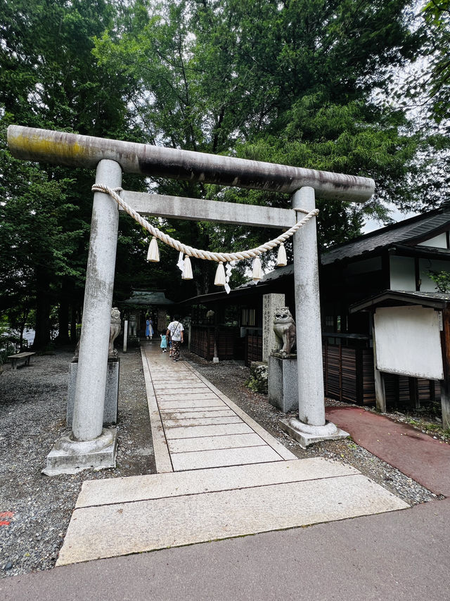 「本物のわさびの味、知っていますか？」