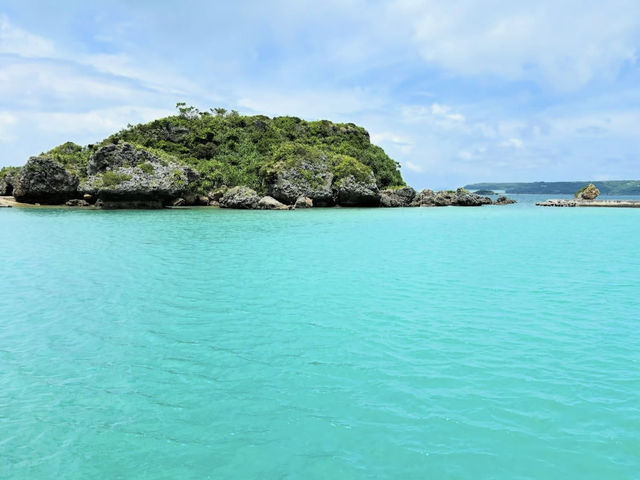 【海の楽園へダイブ！】奇跡の透明度「慶良間諸島」で感動体験