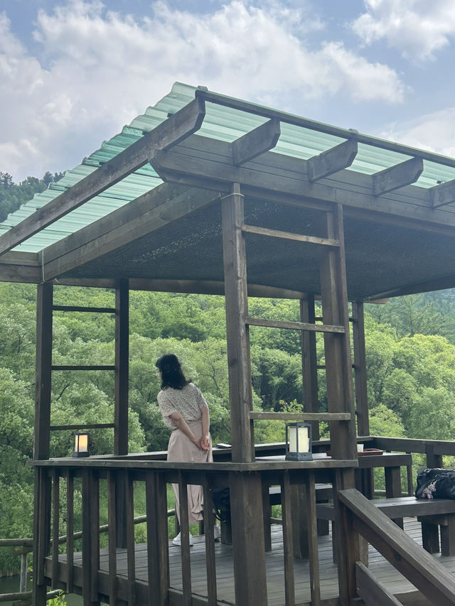 🌿 강물 따라 흐르는, 힐링 포레스트 카페 🌳 카페 레오나