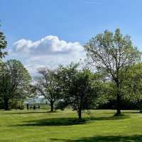 羅馬街公園·美麗綠洲