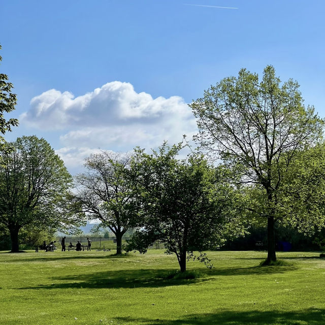 羅馬街公園·美麗綠洲