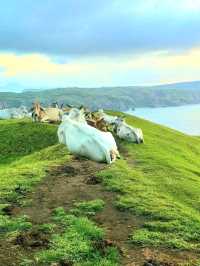 Rolling Marlboro Hills: The Breathtaking Beauty of Batanes