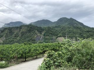 타이둥 산리역