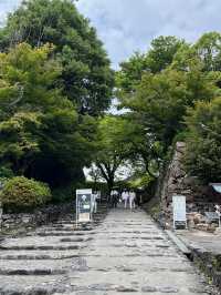 🏯犬山城｜日本國寶級的小而美城堡體驗