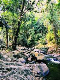 🌳น้ำตก ป่าละอู🌊🐳💦🌾