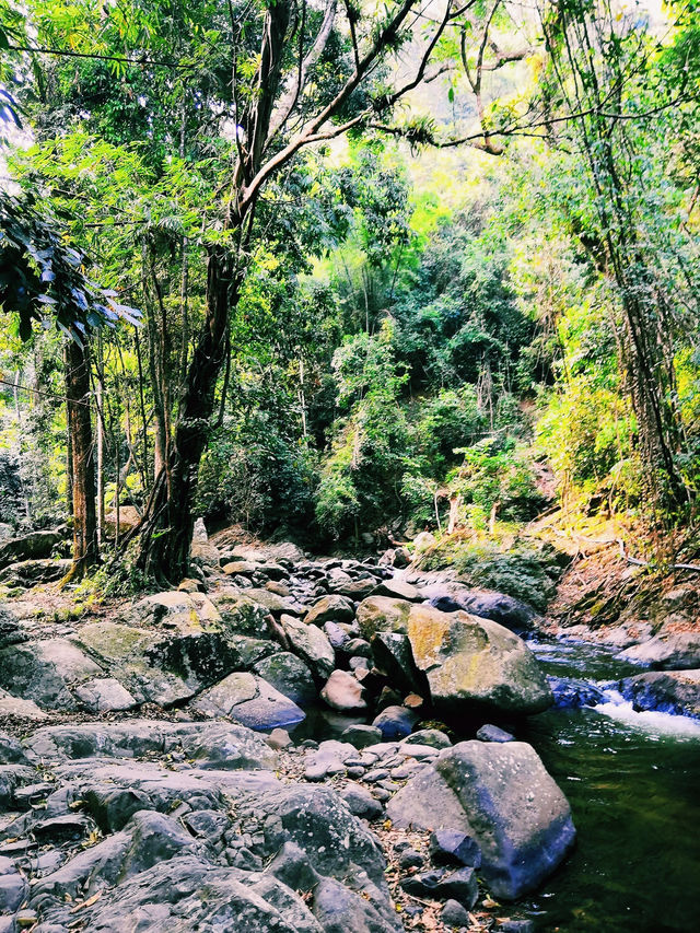 🌳น้ำตก ป่าละอู🌊🐳💦🌾