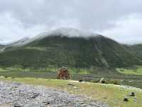 🌈 Kangding’s Muya Holy Land – Where Summer Brings Snow & Rainbows ❄️🐾