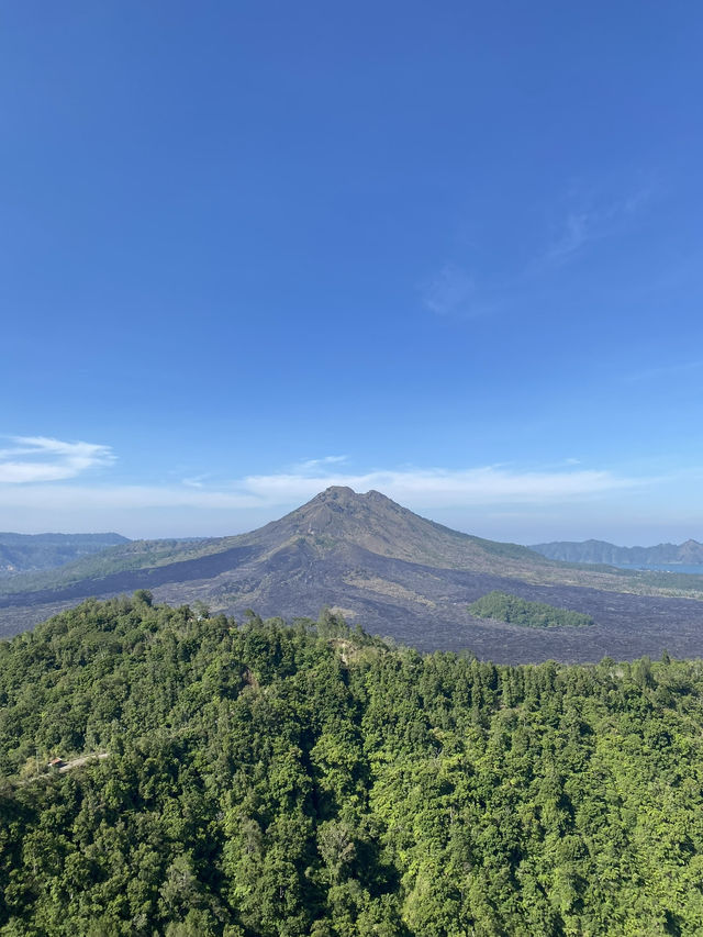 Bali: Where Every Day Feels Like a Postcard