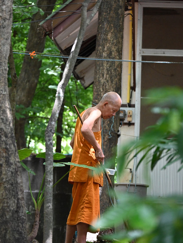 Echoes Of 700 Years: Wat Umong’s Underground Dharma