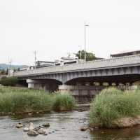 ปั่นจักรยานเลียบแม่น้ำ Kamo ,Kyoto