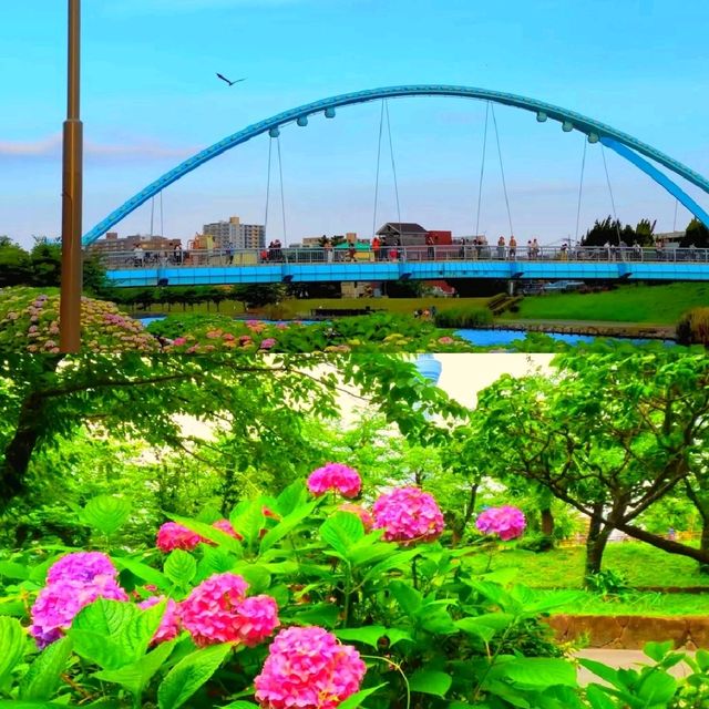 隅田公園 