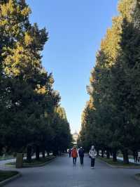 Temple of heaven 🙏🏻