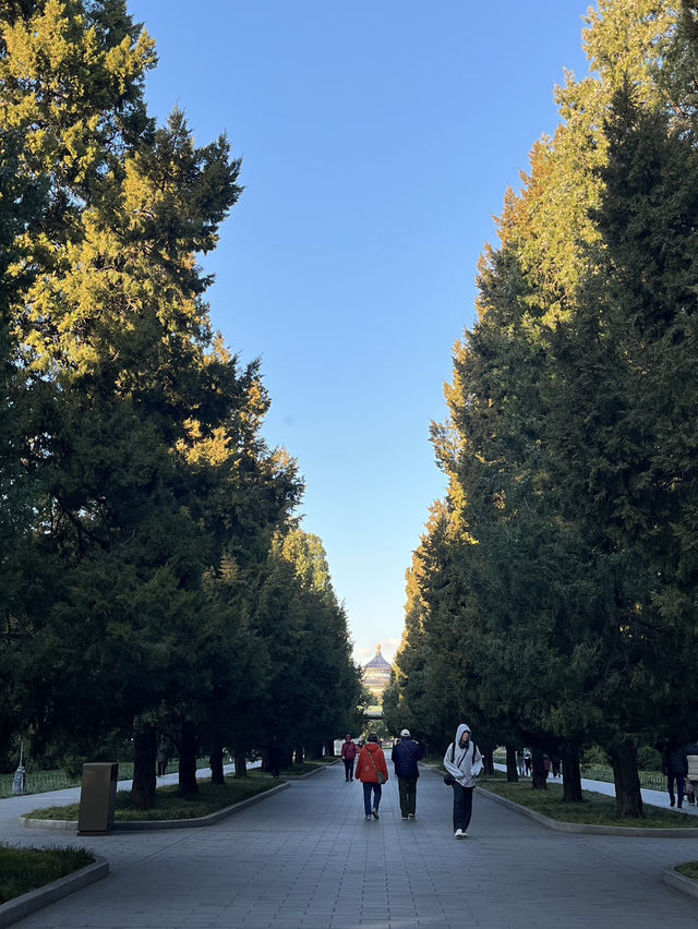 Temple of heaven 🙏🏻 Temple of heaven 🙏🏻