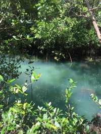 🌿 ท่าปอม คลองสองน้ำ | ธรรมชาติใสไหลกลางป่า