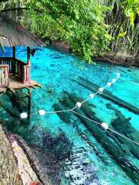 Whispers Beneath the Blue: Enchanted River of Hinatuan