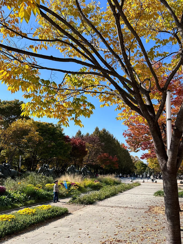 🇰🇷 Seoul Forest – A Must-Visit Gem in Seoul! 🌳✨