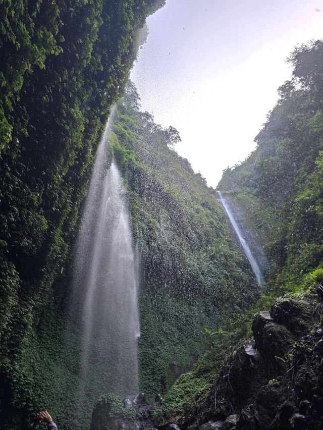วิธีเดินทางไป Madakaripura Waterfall