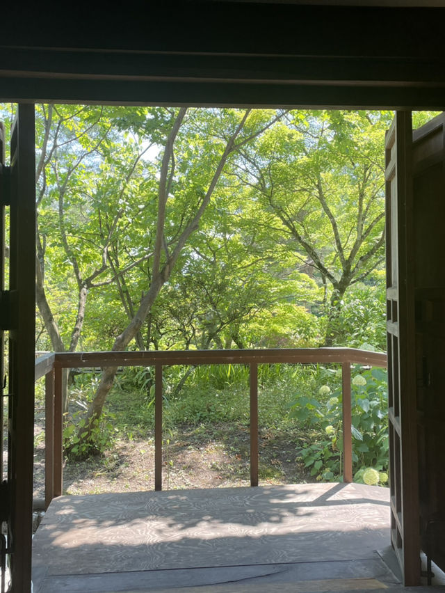 【群馬】映えスポット多数！群馬を代表する花寺