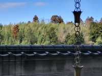 旅宿簡評：Hotel Mystays Premier Narita