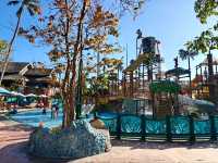 Roller Coasters, Cable Cars & Pure Fun