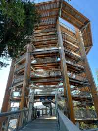 Above the Trees: A Calm Walk at Malahat SkyWalk