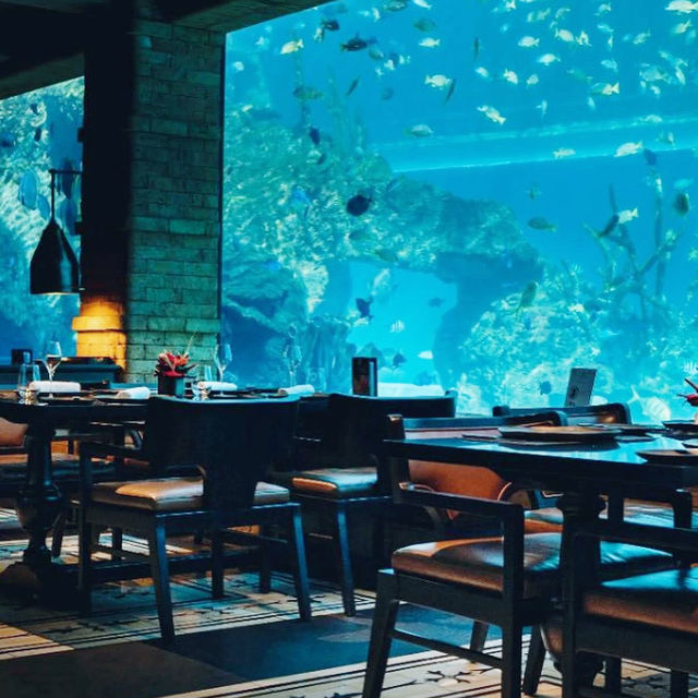 Underwater Elegance: Dining at Koral Restaurant Bali 🇮🇩