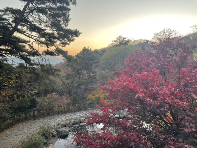 제천 여행