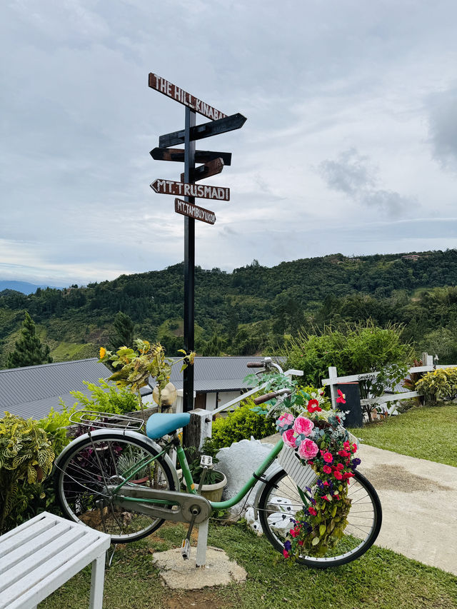 Family Fun Stop at The Hill Kundasang