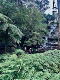 A Sydney escape to remember 