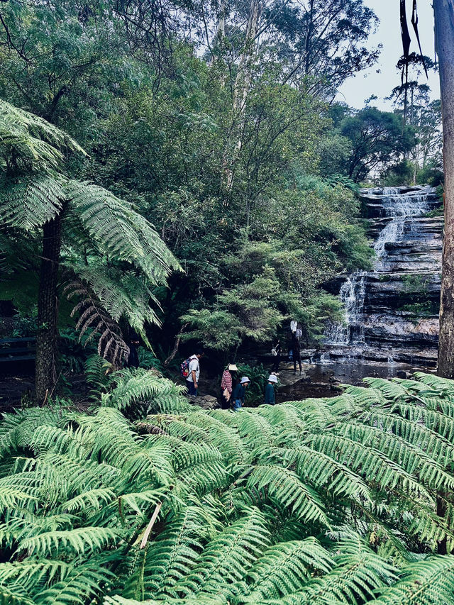 A Sydney escape to remember 