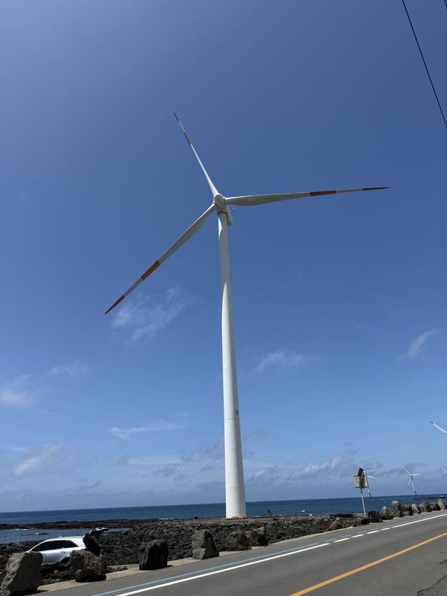 제주도 여행 